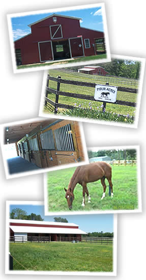 Pidllin Acres - Saluda, VA (Horse Boarding)