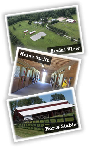 Horse Boarding Stalls and Amenities